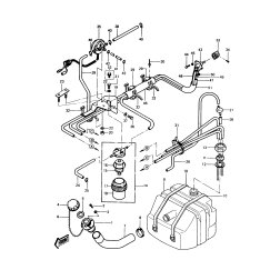 MEMBRANE