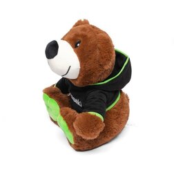 Kawasaki Teddy Bear 