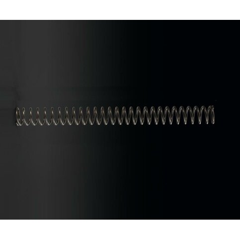 Optional front fork spring
