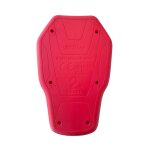 RST BCK PROTECTOR L2 FEM