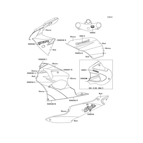 PATTERN,LWR COWLING,C