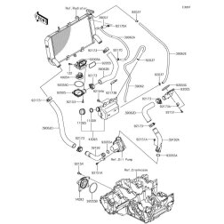HOSE-COOLING,RADIATOR-W/P
